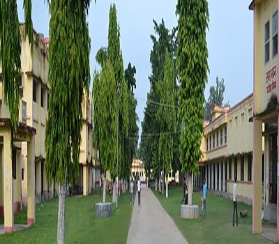 Thakur Prasad College Madhepura Campus photo 1